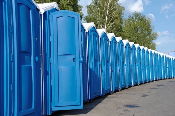 Best Portable bathroom rental  in Mondovi, WI